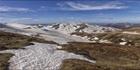 Near Rawsons Pass - Kosciuszko NP - NSW T (PBH4 00 10595)